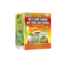 BỘ 3 KIM CƯƠNG