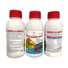 KALI-CANXI-GA3