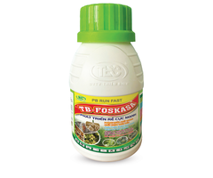 TB-FOSKASA