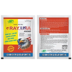 RAY USA 400WP