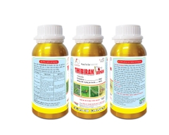 THIBIRAN JAPAN 500EC