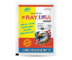 RAY USA 400WP