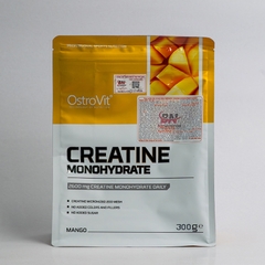 Ostrovit Creatine (300g)
