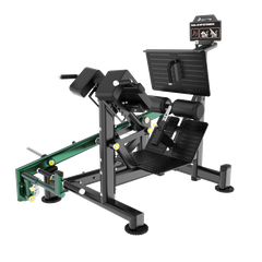 Dual 45 Hip Extension BL33