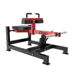 Seated Calf Machine TM23