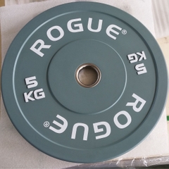 Rubber Bumper Plate Rogue W100528