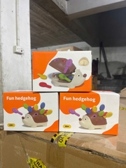 Nhím sắc màu
