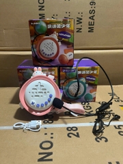 Loa kèm mic megaphone