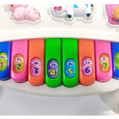 Đàn piano thỏ mã NO-3300