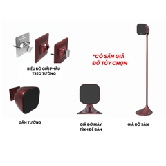 Dàn xem phim, nghe nhạc tích hợp karaoke  Dolby Atmos 5.1.2 Partyhouse AVK-7120D