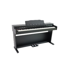 Đàn Piano điện Gelaus DP-200 (BLACK) (Bộ nhớ 256 Mbit)