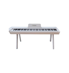 Đàn Piano điện Gelaus DP-300