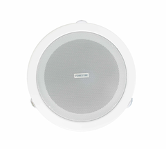 Loa đơn âm trần 5