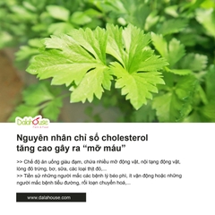 Bột Cần Tây Dalahouse Giảm Cân & Ổn Định Huyết Áp Lon 120g