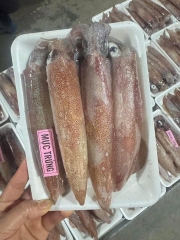 MỰC NHÁY TRỨNG /1kg