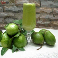 Nước Ép Ổi Mix Cóc