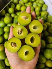 MẬN ( hộp )