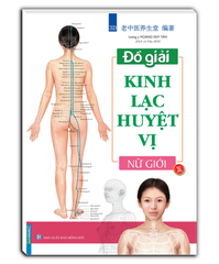 Đồ Giải Kinh Lạc Huyệt Vị - Nữ Giới