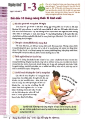Mang Thai Thành Công 280 Ngày