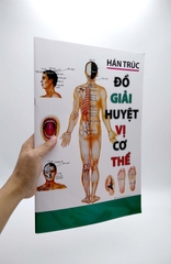 Đồ Giải Huyệt Vị Cơ Thể