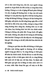 Muốn An Được An