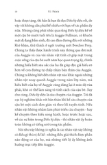 Auggie & Tôi - Ba Câu Chuyện Về Điều Kỳ Diệu