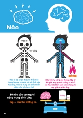 Infographics - Bách Khoa Tri Thức Bằng Đồ Họa Cho Trẻ Em - Cơ Thể Người