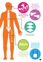 Infographics - Bách Khoa Tri Thức Bằng Đồ Họa Cho Trẻ Em - Cơ Thể Người