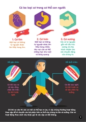 Infographics - Bách Khoa Tri Thức Bằng Đồ Họa Cho Trẻ Em - Cơ Thể Người