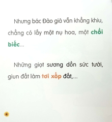 Truyện Chữ To Cho Bé Tập Đánh Vần Tập Đọc Tập 1