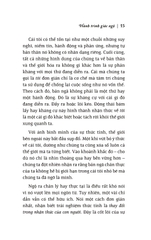 Hành Trình Giác Ngộ