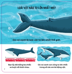 Lift - The - Flap - Lật Mở Khám Phá - Thế Giới Động Vật