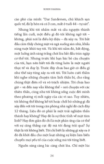 Khám Phá Vận Mệnh - 7 Bước Đánh Thức Bản Thân