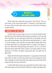 Đông Y Thiệt Chẩn