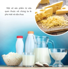 Healthy Eating - Ăn Uống Lành Mạnh - Sữa Và Các Sản Phẩm Từ Sữa