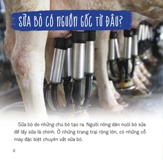 Healthy Eating - Ăn Uống Lành Mạnh - Sữa Và Các Sản Phẩm Từ Sữa