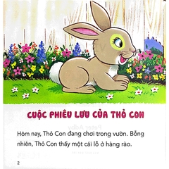 Những Câu Chuyện Tình Bạn - Thỏ Con Và Vịt Con