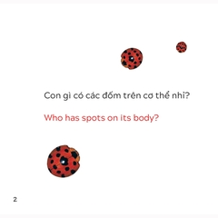 Song Ngữ Việt Anh - Khám Phá Thế Giới - Loài Nào Là Côn Trùng Nhỉ? - Who Is The Insect?