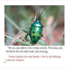 Song Ngữ Việt Anh - Khám Phá Thế Giới - Loài Nào Là Côn Trùng Nhỉ? - Who Is The Insect?