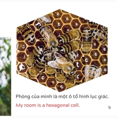 Song Ngữ Việt Anh - Khám Phá Thế Giới - Bạn Sống Ở Đâu Thế? - Where Do You Live?