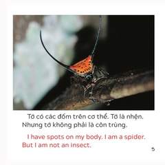 Song Ngữ Việt Anh - Khám Phá Thế Giới - Loài Nào Là Côn Trùng Nhỉ? - Who Is The Insect?