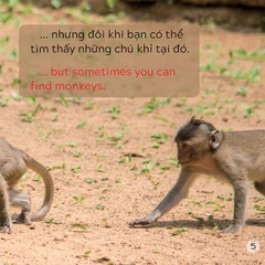 Song Ngữ Việt Anh - Khám Phá Thế Giới - Ở Vùng Đất Khô Cằn - In A Dry Land