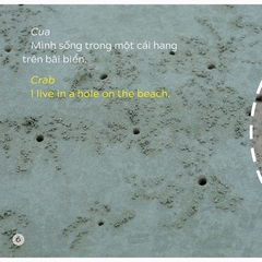 Song Ngữ Việt Anh - Khám Phá Thế Giới - Bạn Sống Ở Đâu Thế? - Where Do You Live?