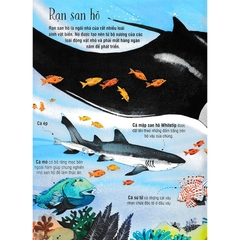 Big Book - Cuốn Sách Khổng Lồ Về Các Loài Động Vật Biển