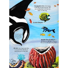 Big Book - Cuốn Sách Khổng Lồ Về Các Loài Động Vật Biển