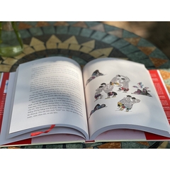 Hạ Đỏ - Nguyễn Nhật Ánh (Phiên Bản Màu Đặc Biệt)
