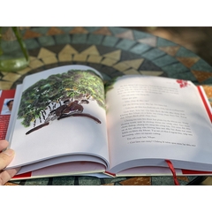Hạ Đỏ - Nguyễn Nhật Ánh (Phiên Bản Màu Đặc Biệt)