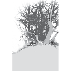 Crying In Trees - Nguyễn Nhật Ánh