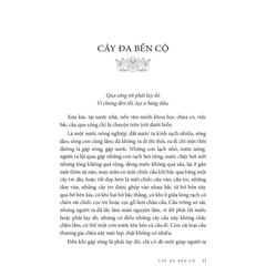 Nếp Cũ - Hương Nước Hồn Quê