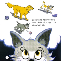 Thiên Nhiên Kỳ Thú - Sói Xám Chờ Trăng